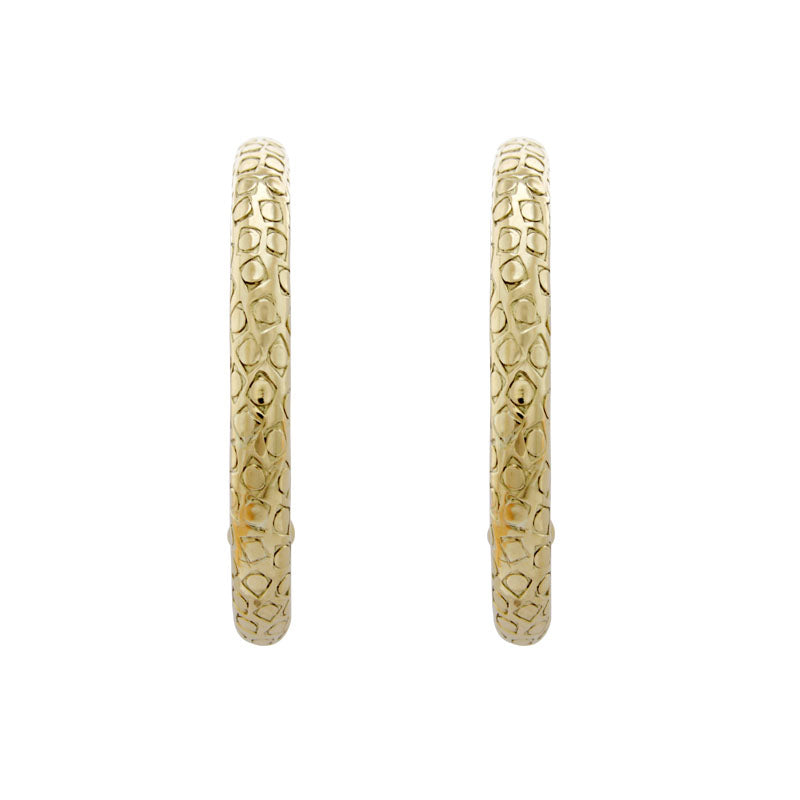 Earrings - Plain Gold | Singhvi Jewels