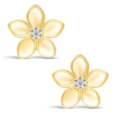 Earrings - Diamond (2450A)