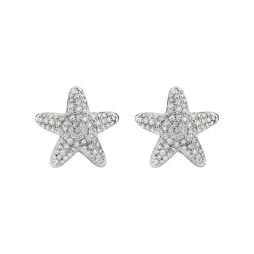 Repair - Earrings - Diamond in Silver (53CM)