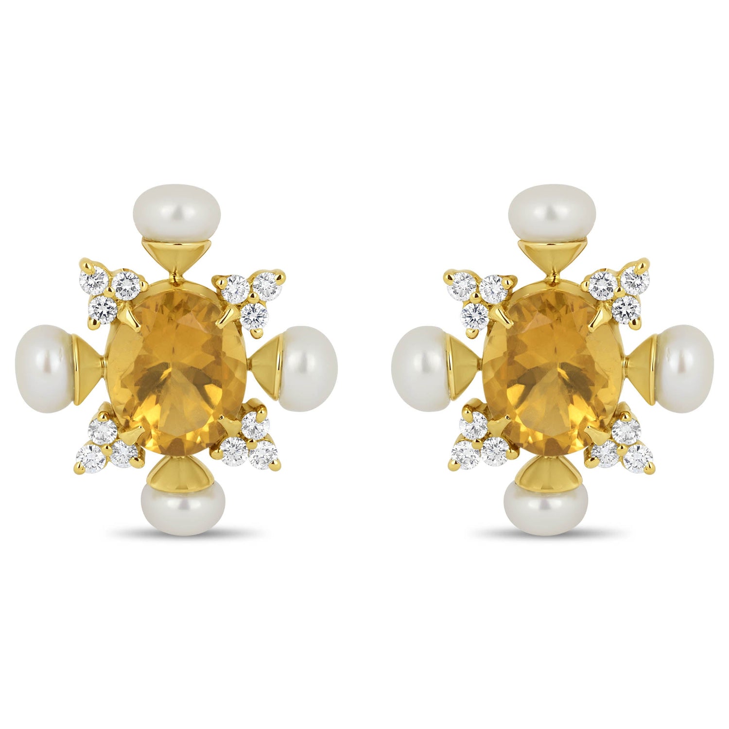 https://cdn.shopify.com/s/files/1/1678/6181/products/9554cbfb323489937500a0b88d429e26.jpg?v=1636627301