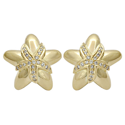Earrings - Diamond