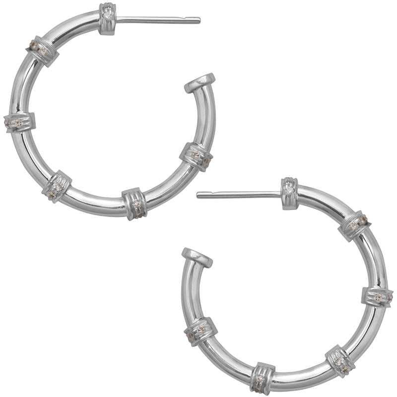 Earrings- Diamond