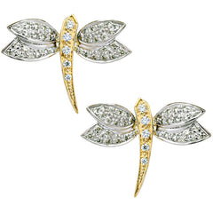 Earrings-Diamond