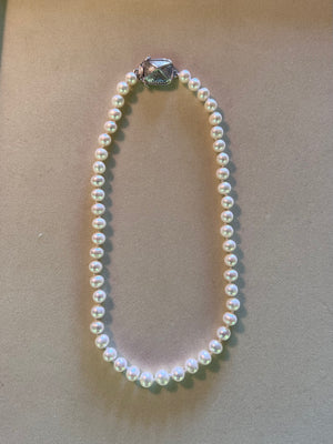 Necklace - Pearl  (31BS)